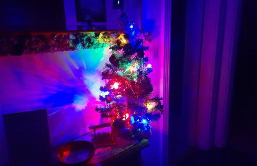 Sweet Lucy - Photo 6