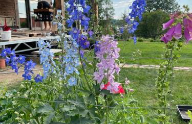 Chata Jakimówka - Foto 22