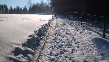 Dom na Krzemienicy - Foto 4