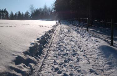 Dom na Krzemienicy - Foto 4