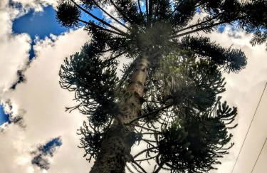 Sopro da Serra Chalés - Foto 72