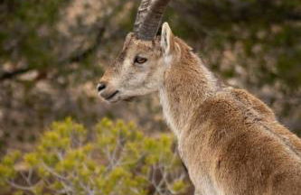 La casita del Cerro - Foto 2