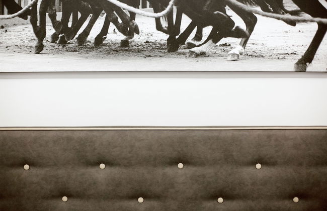 B&B Il Barbero - Photo 30