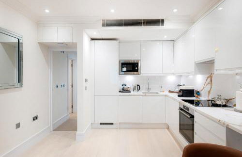 Fountain House Apartments - Hyde Park, London - Foto 34