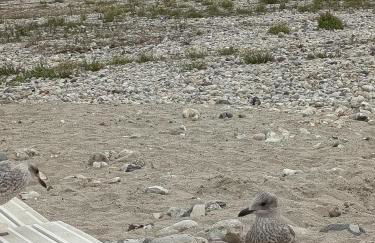 LA TERRASSE DE NOTRE DAME - Foto 53