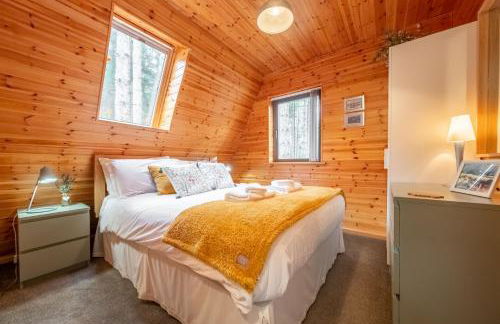 Woodpecker - Photo 26