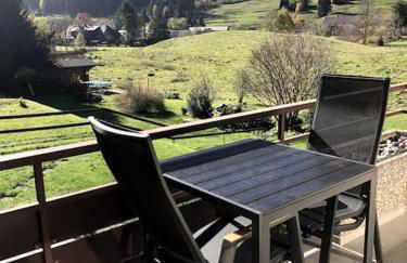 Schwarzwald Loft Menzenschwand - Foto 10