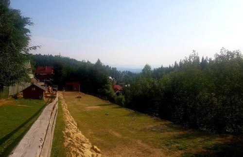 Alpakowy raj - Foto 60