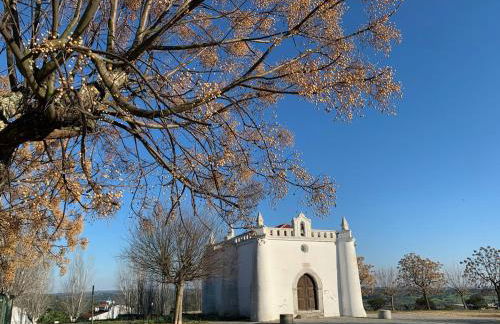 The Palm Tree House Alentejo Private swimming pool 6 suites Iconic Palm tree - Foto 55