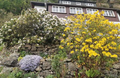 Villa Belvedere - Foto 5