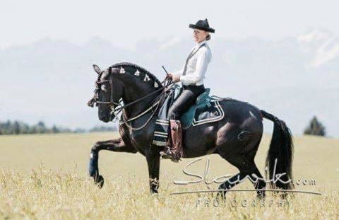 Linda‘s Ferien-Pferdehof - Foto 24