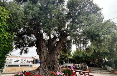 Amnisiades Apartments - Foto 13