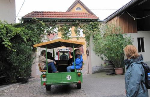 Gästehaus Guntersblum - Foto 26