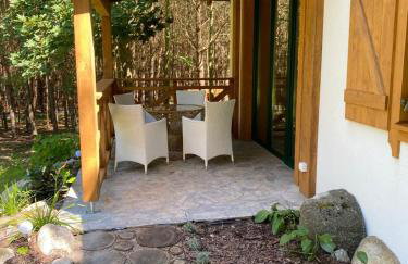 Leśna Kryjówka domki w lesie - Foto 47