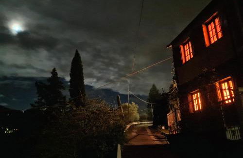 La Volpe e la Rosa - Foto 17