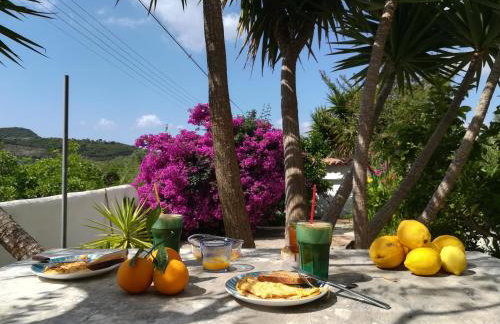 Lemon Tree Cottage - Foto 31