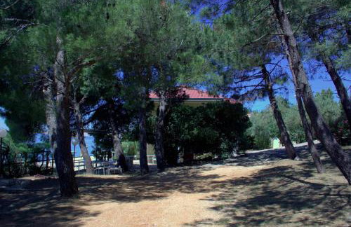 The beach house in Tribanj - Foto 37