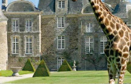 La baie du Mont Appartement de vacances proche du Mont Saint Michel - Foto 38