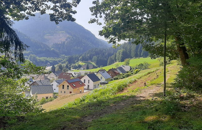 Holiday Home in Hornberg Near Triberg Falls - Foto 18