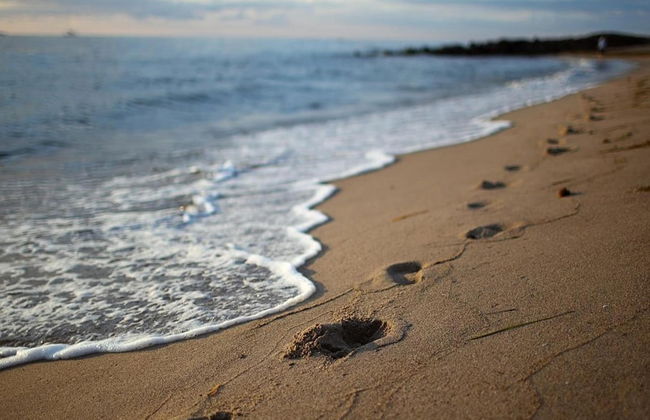 Apartment in a Lakeside Park in Sellin With a Balcony - Foto 62