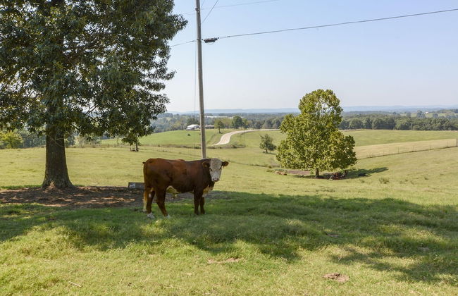 Llama House - Foto 46