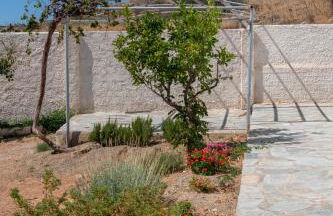 Captain View - Foto 49