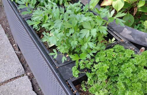 Exclusives Ferienhaus am Kulkwitzer See - Photo 44