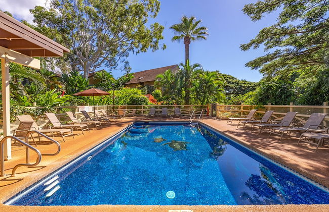 Paniolo Hale - Foto 22