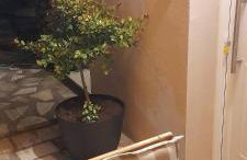 Ktima Rodies in Neochori Zacharo - Foto 25