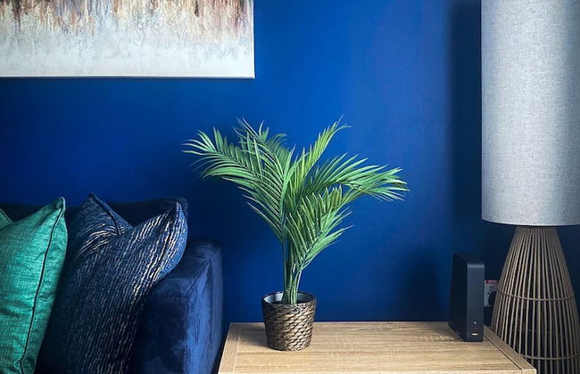 Phoenix House - Photo 37