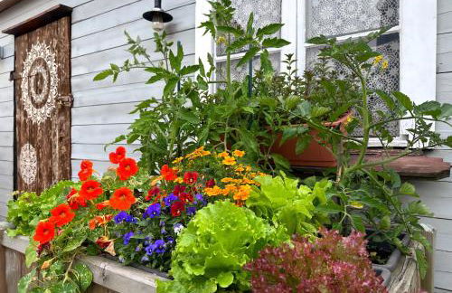 ALTE SCHULE WITTENBERG, 3 Ferienwohnungen für bis zu 12 Personen, an der Elbe, mit Garten - Foto 79