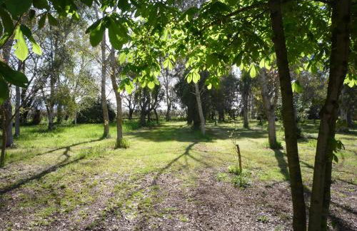 Agriturismo La Giannottola - Foto 67