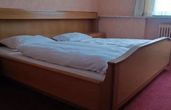 Landhotel Jägerhof Ferienwohnung - Foto 11