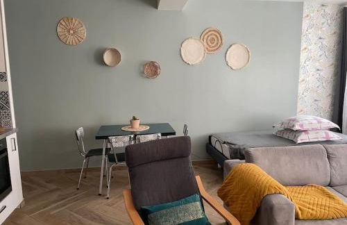 F2 Rez de Chaussée Ô meublé de Pithiviers - Photo 14