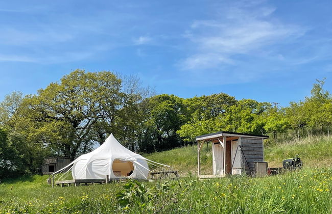 Nest and Nurture - Photo 22