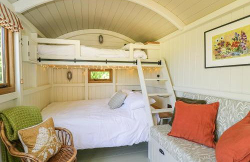 Blackthorn - Photo 3