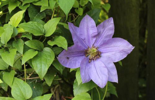 Domek w NABO - Foto 12