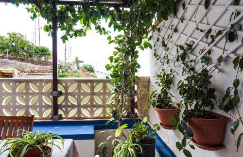 Casa Yeyo, Lomo Bermejo - Foto 12