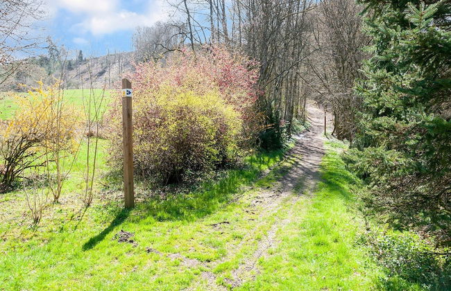 Cozy Country Stay, Stoumont - Foto 29