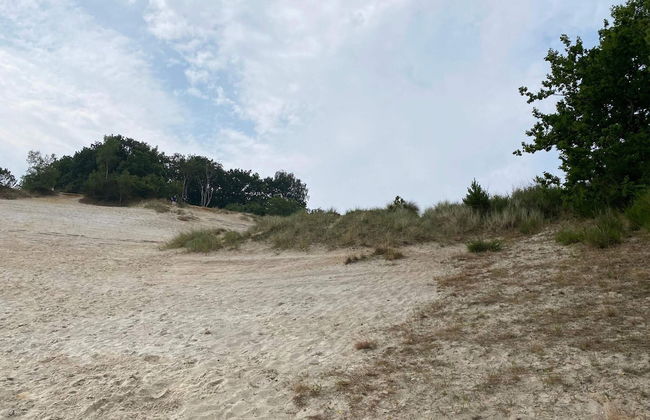 8 Person Holiday Home in Borkop-by Traum - Foto 8