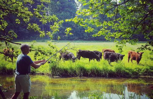 Kieler Eiderparadies - Foto 18