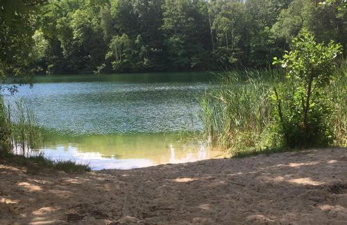 Haus im Grünen Meer - Foto 17