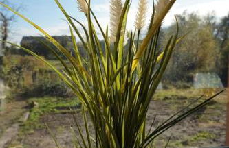 Haus am Fluss - Foto 26