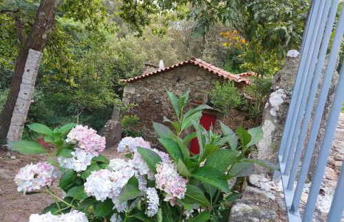 Moinho do Formigal - Foto 10