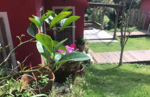 Casa Crudo, PRIVACIDADE NA MATA ATLÂNTICA, piscina, trilhas e descanso - Foto 70