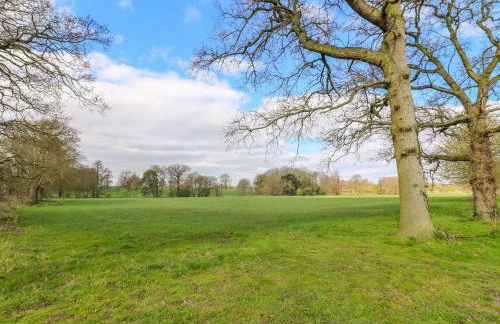 South Lodge - Longford Hall Farm Holiday Cottages - Photo 36