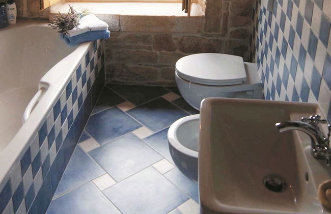 Marvelous Istrian Villa Morus - Photo 12