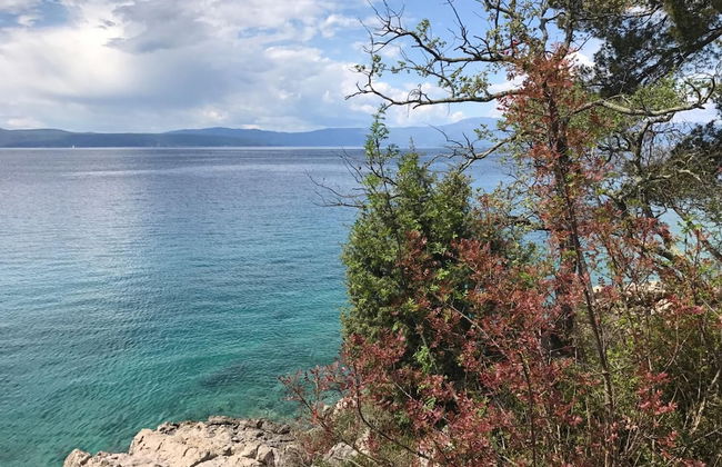 Apartment Grace - Photo 30