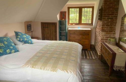 Amazing Arts & Crafts House - Foto 43