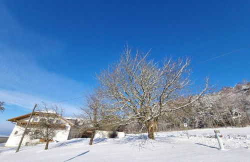 Chalet Hoamad im Bayerischen Wald - Foto 29